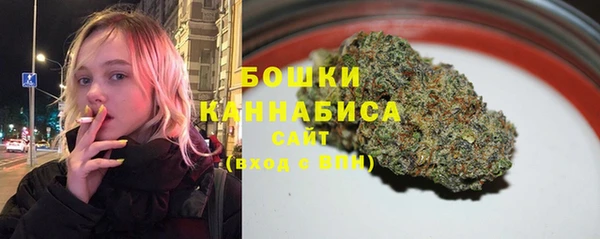 бошки Алексин