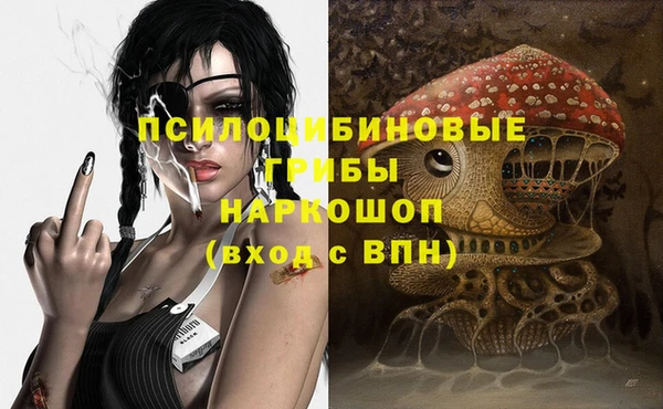 PSILOCYBIN Алексеевка