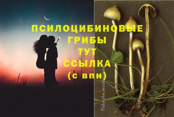 PSILOCYBIN Алексеевка